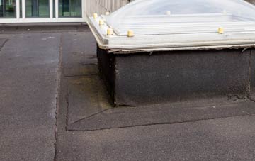 disadvantages of White Rocks flat roofs