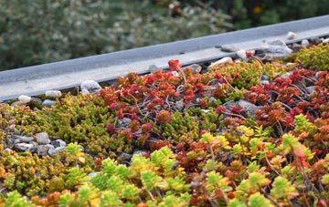 the cost of White Rocks green roof installation